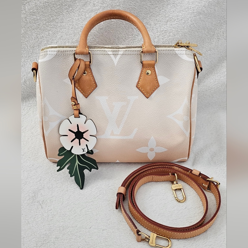 Louis Vuitton Speedy Bandoulière 25 "By The Pool"